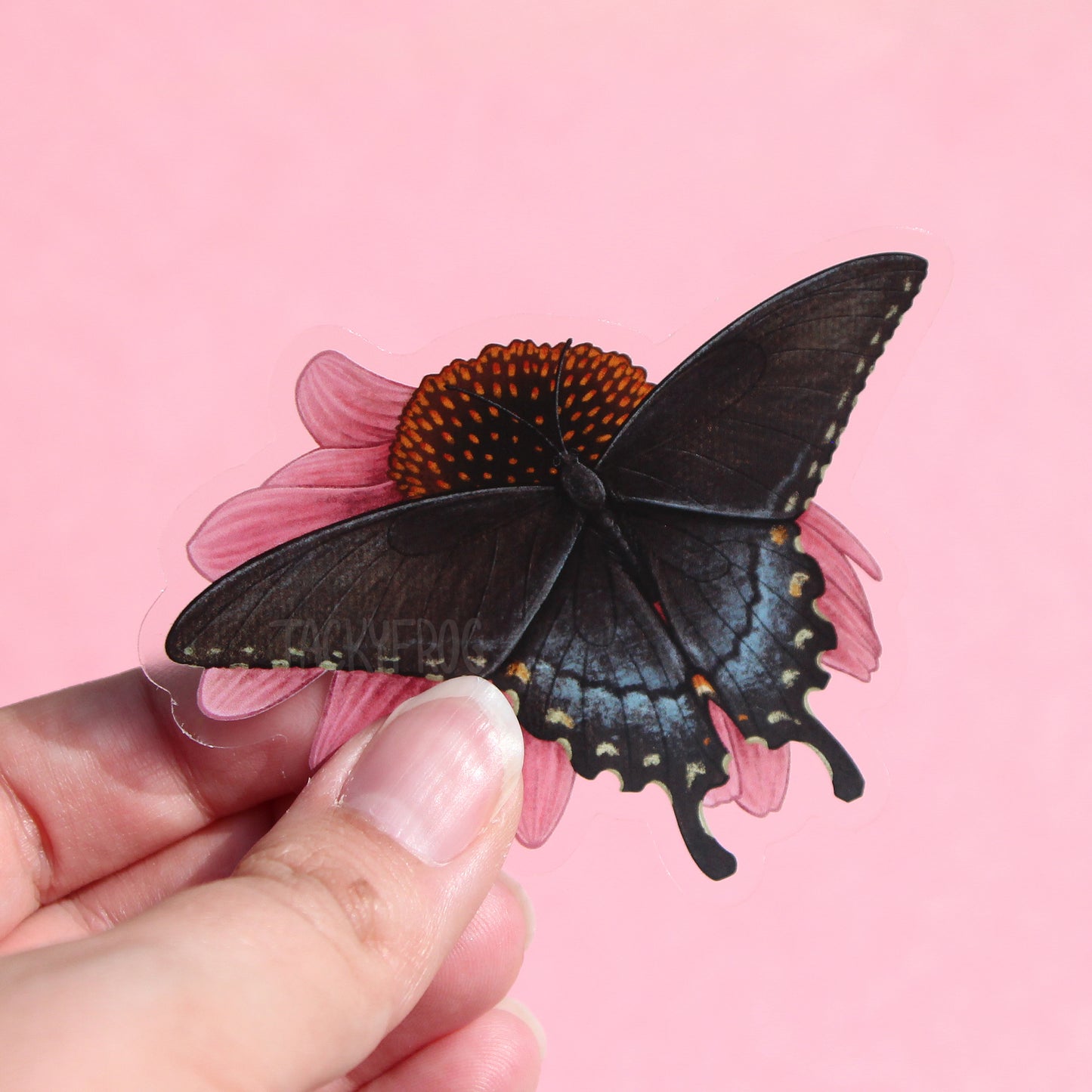 A clear vinyl sticker of a black swallowtail butterfly on a pink coneflower.