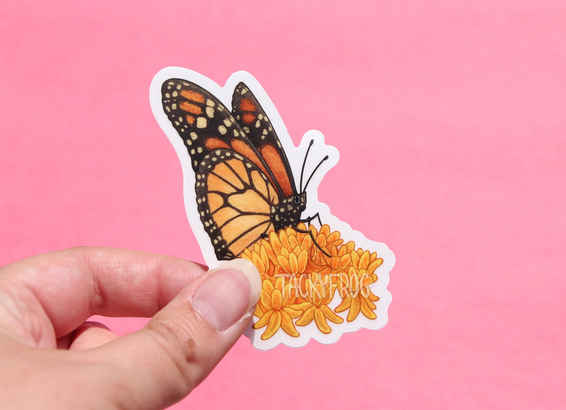 The monarch butterfly on orange milkweed clear vinyl sticker with the white paper backing still on.