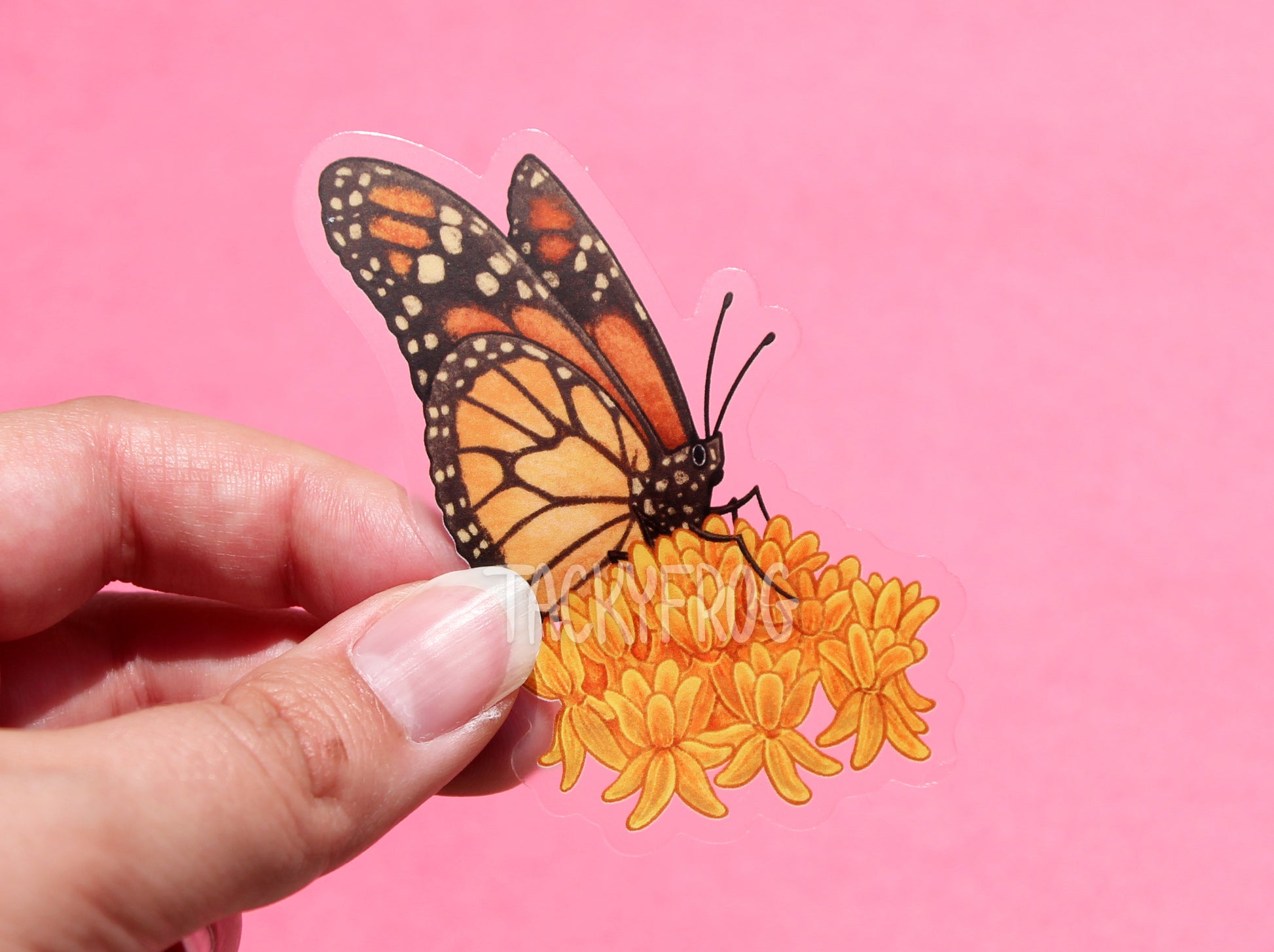 Another view of the monarch butterfly on milkweed clear vinyl sticker.