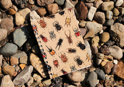 The beetle-patterned notebook placed on some rocks.