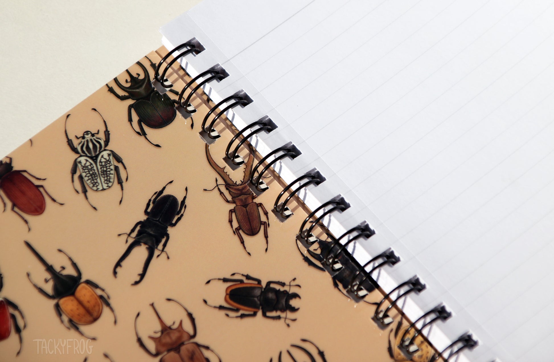 The inside covers of the notebook are patterned with beetles as well. The paper is ruled-line.