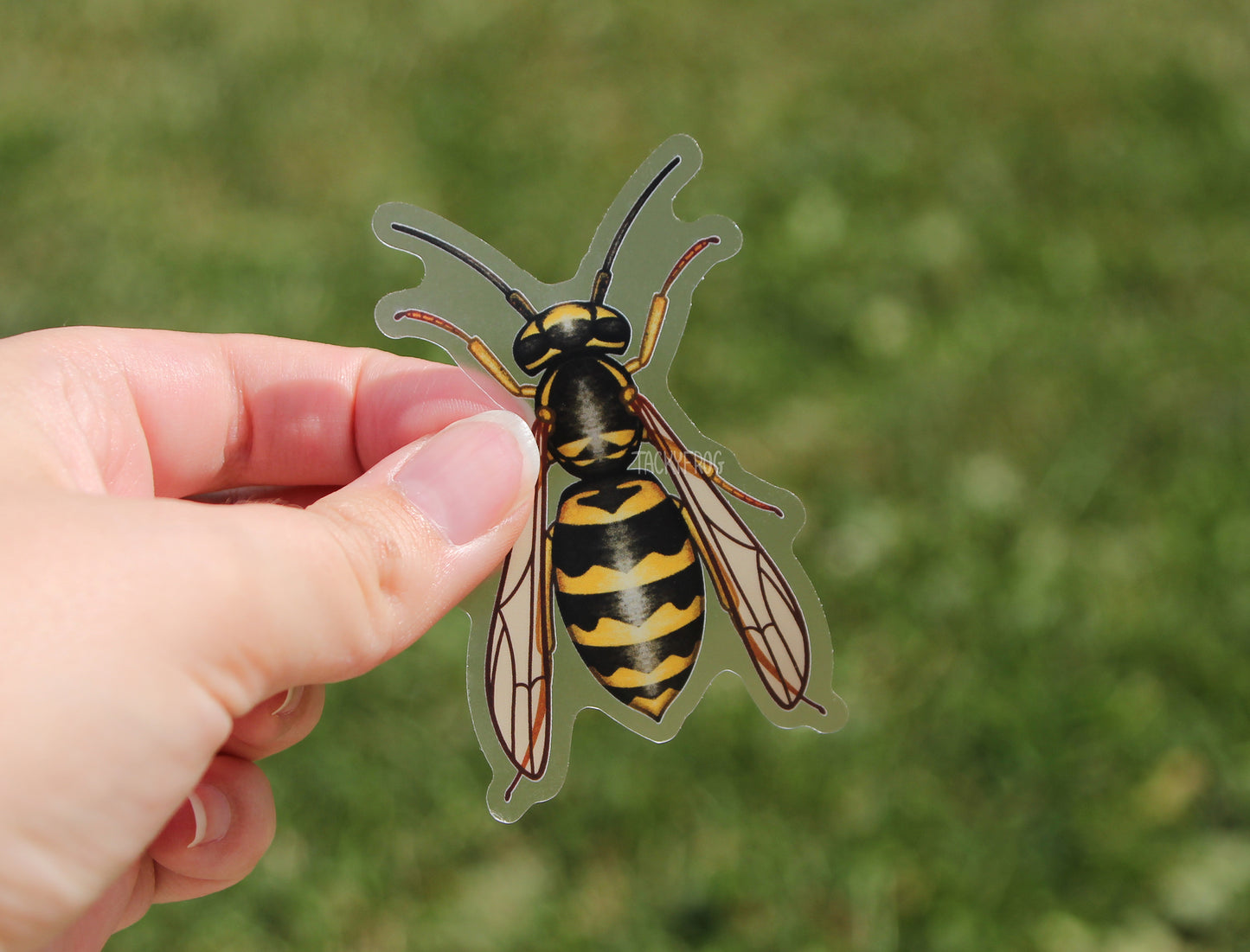 A clear vinyl sticker of a yellow jacket wasp.