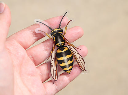 A clear vinyl sticker of a yellow jacket wasp.