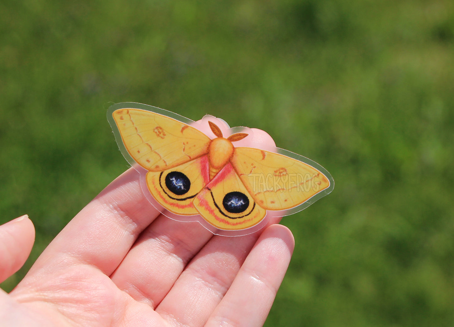 The yellow io moth clear vinyl sticker held above grass.