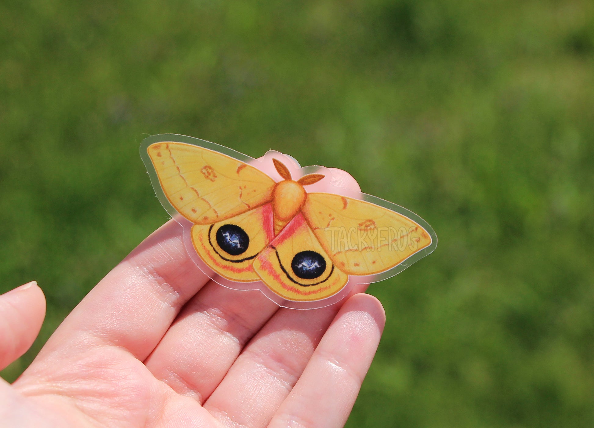 The yellow io moth clear vinyl sticker held above grass.