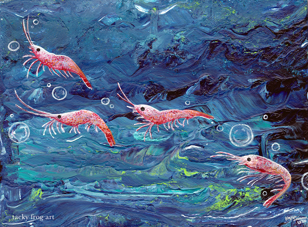 an acrylic painting of four pink shrimp
