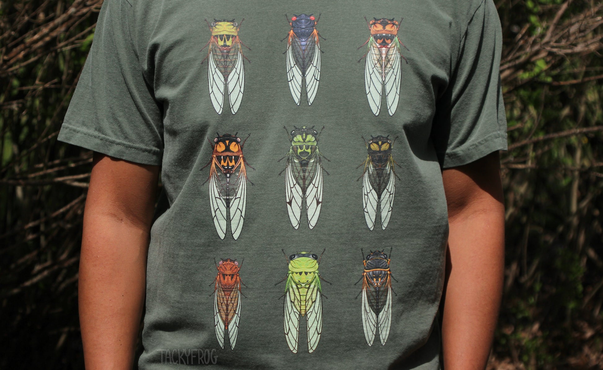 A close up view of the cicadas on the cicada t-shirt. There are nine different cicadas that can be found in the United States.