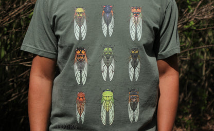 A close up view of the cicadas on the cicada t-shirt. There are nine different cicadas that can be found in the United States.