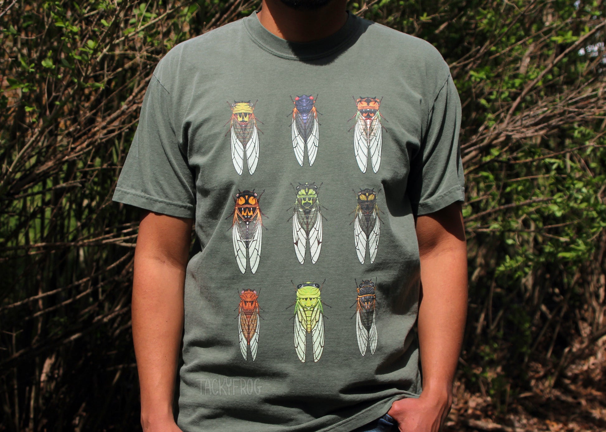 A closer view of the cicada t-shirt featuring illustrations of nine different cicadas.