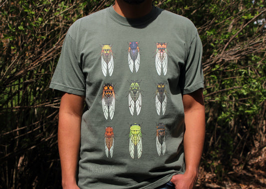 A closer view of the cicada t-shirt featuring illustrations of nine different cicadas.