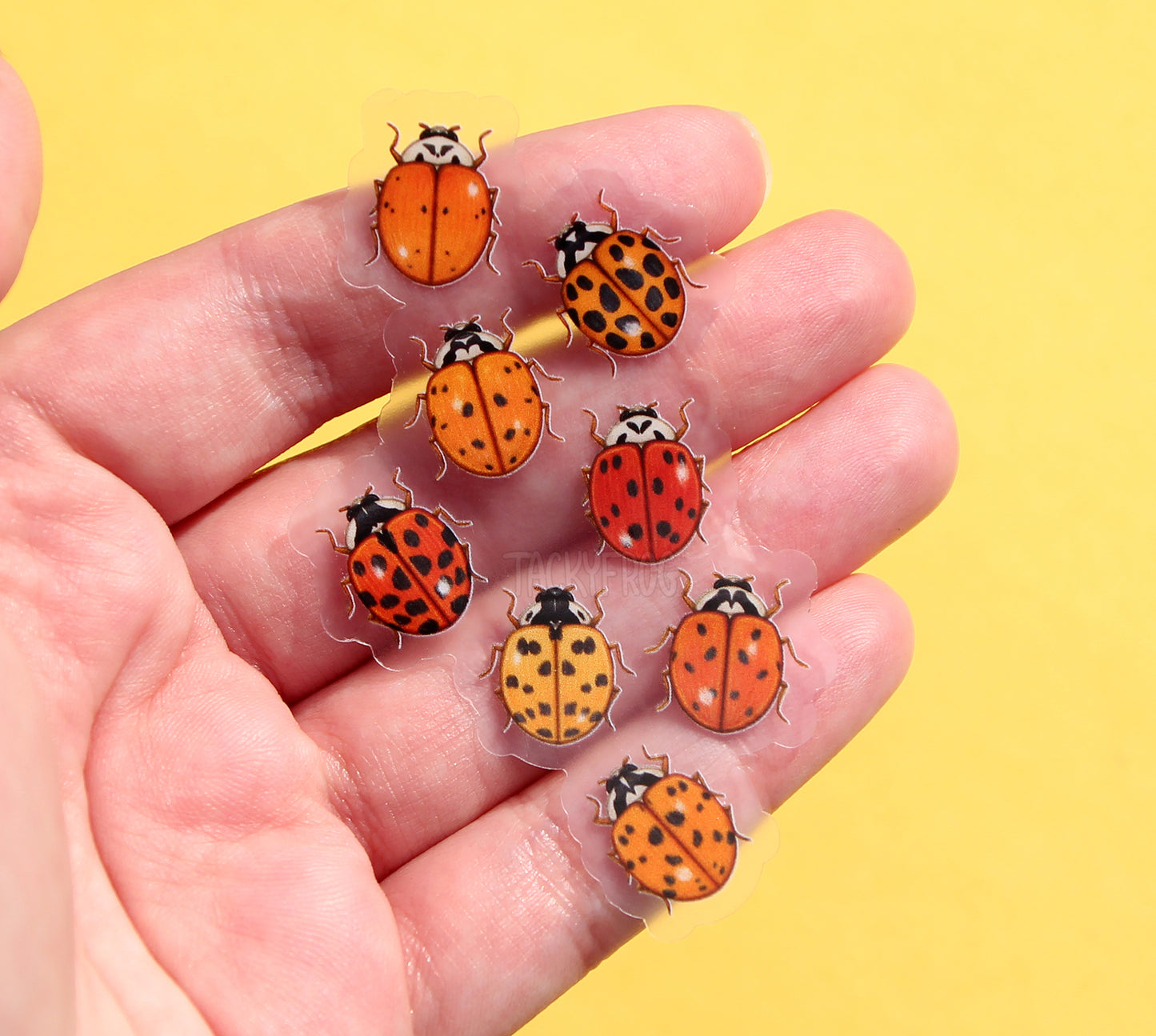 The clear vinyl sticker depicting eight smaller ladybugs placed on top of artist's fingers.