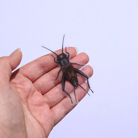 A hand holding a clear vinyl sticker of a dark field cricket.