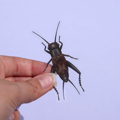 Another view of the dark field cricket clear vinyl sticker.