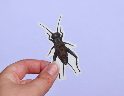 The field cricket clear vinyl sticker with the white paper backing still on.
