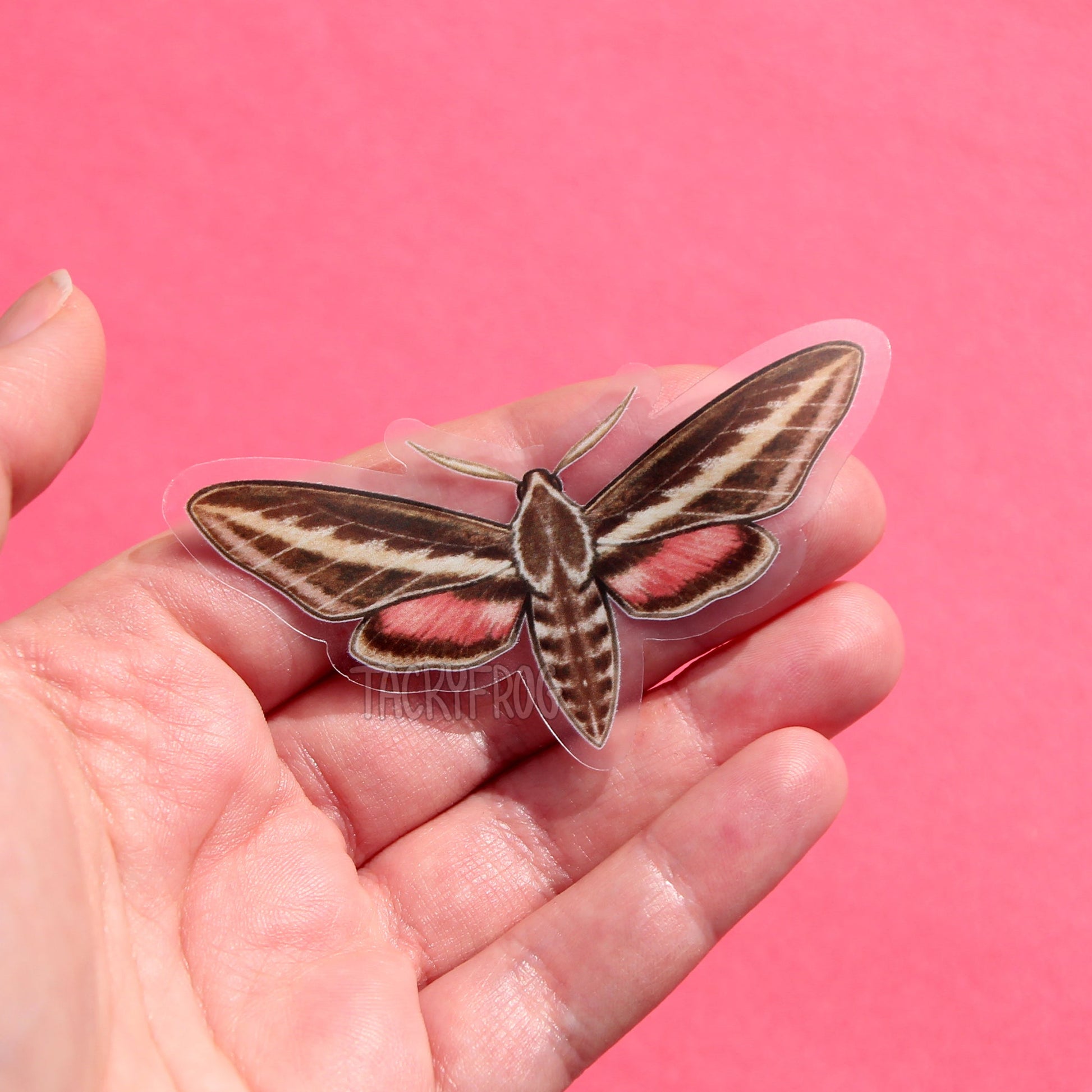 The hummingbird moth clear vinyl sticker placed in artist's hand.