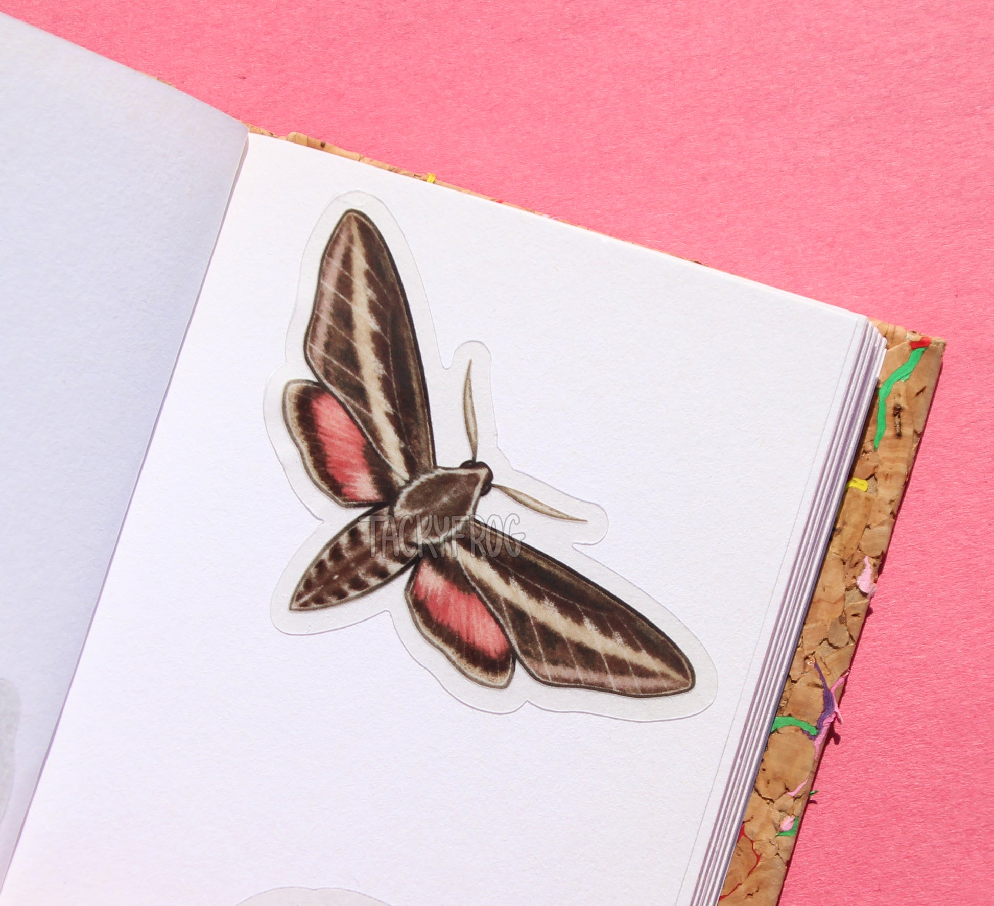A clear vinyl sticker of a hummingbird sphinx moth placed on a sketchbook page.