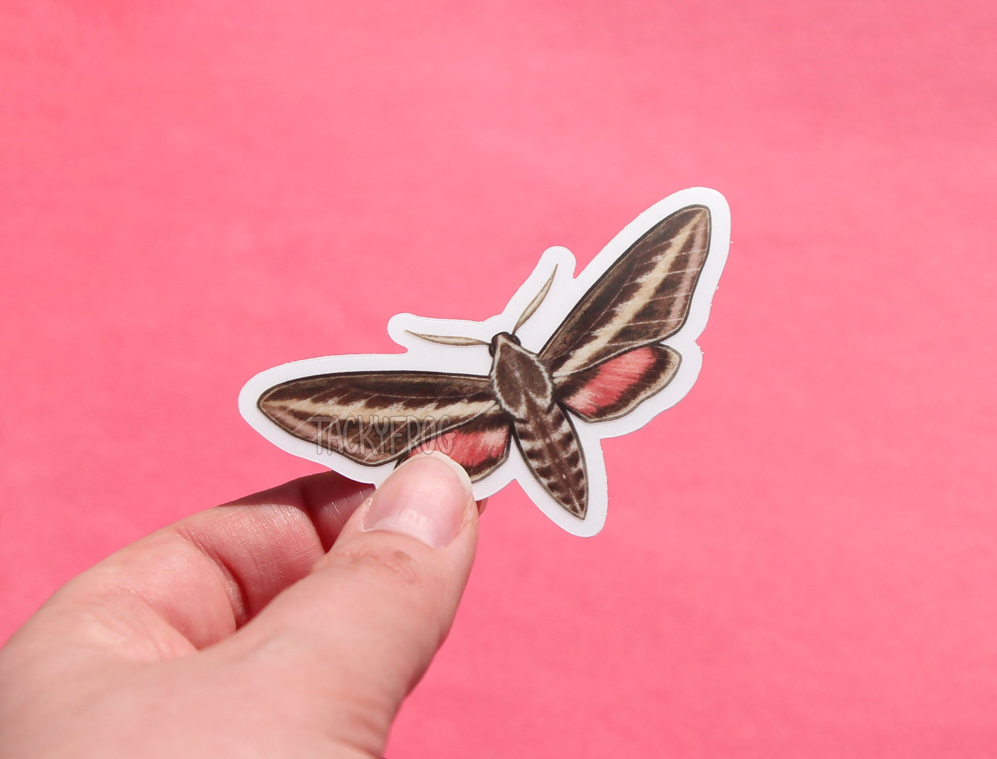 The hummingbird moth clear vinyl sticker with the white paper backing still on.