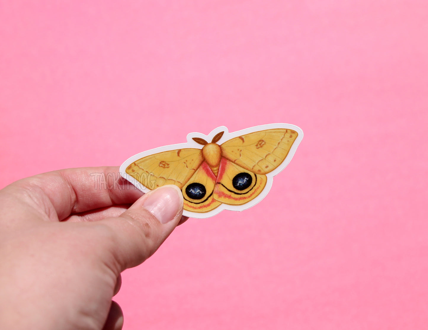 The io moth clear vinyl sticker with the white paper backing still on.