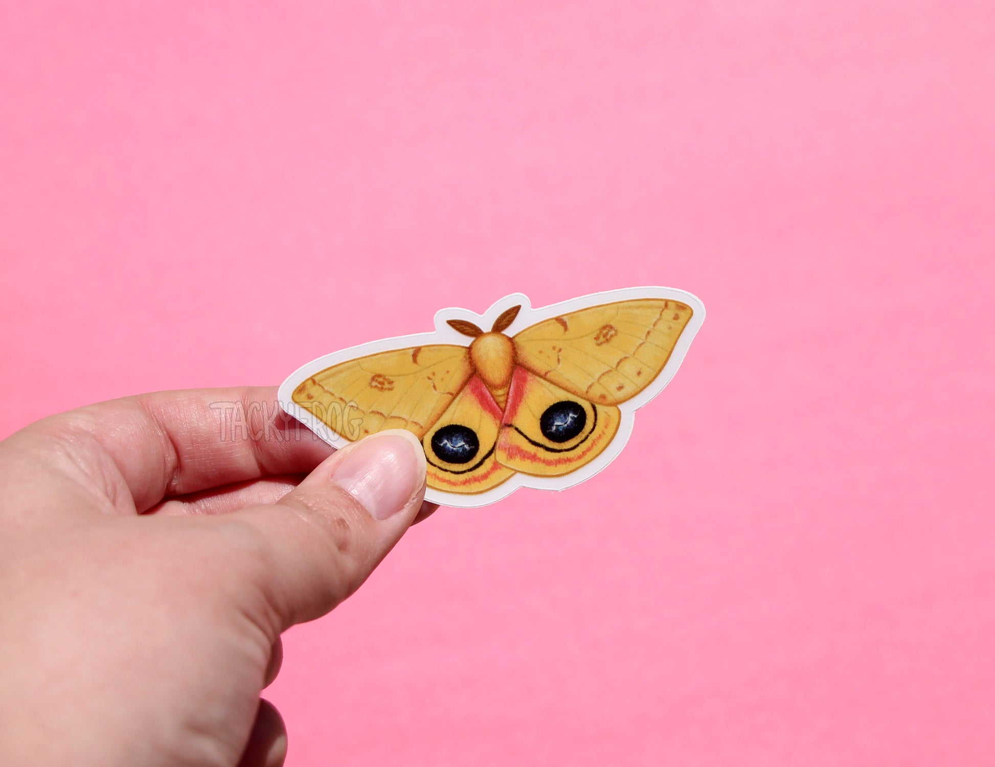 The io moth clear vinyl sticker with the white paper backing still on.