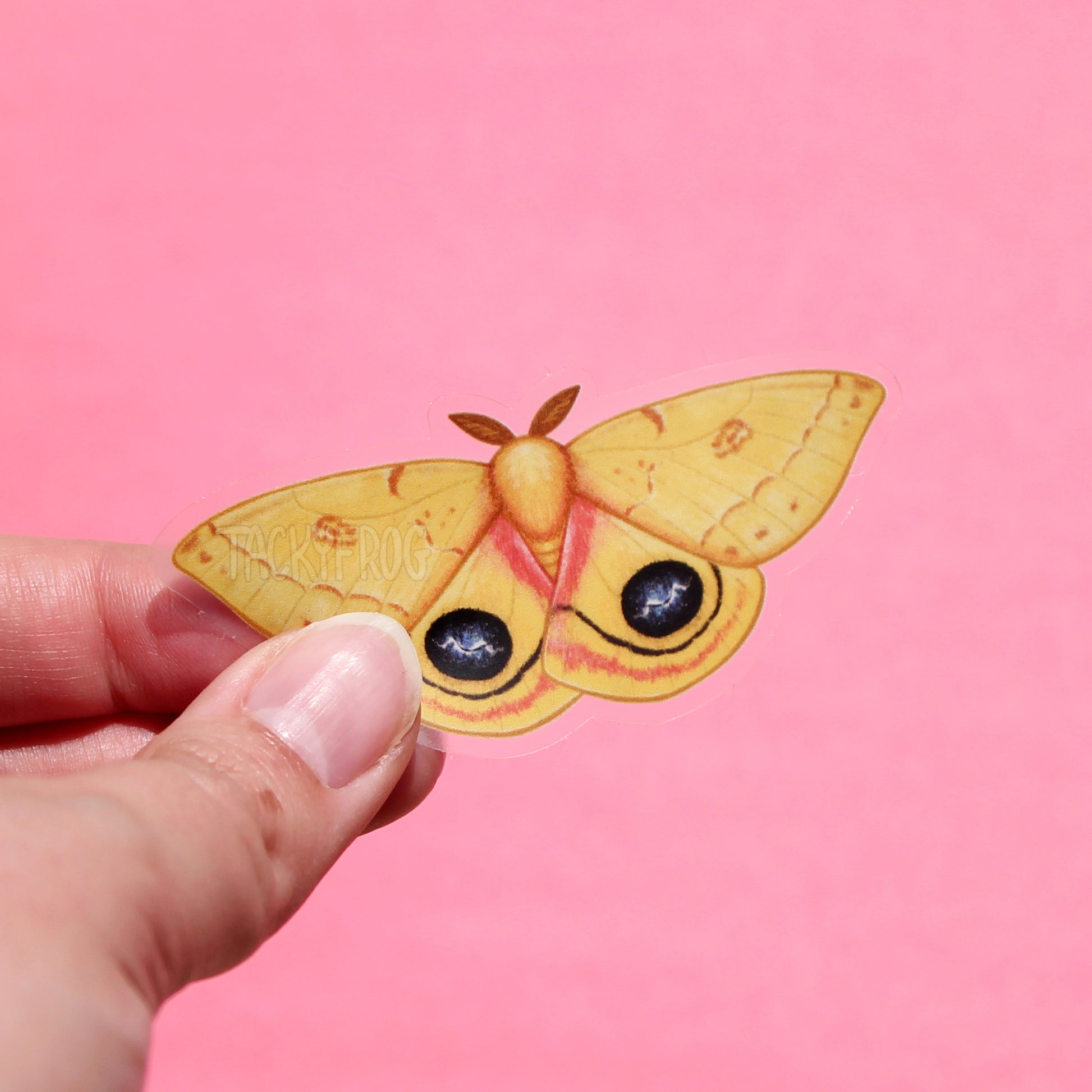A clear vinyl sticker of a yellow io moth, also known as a peacock moth.