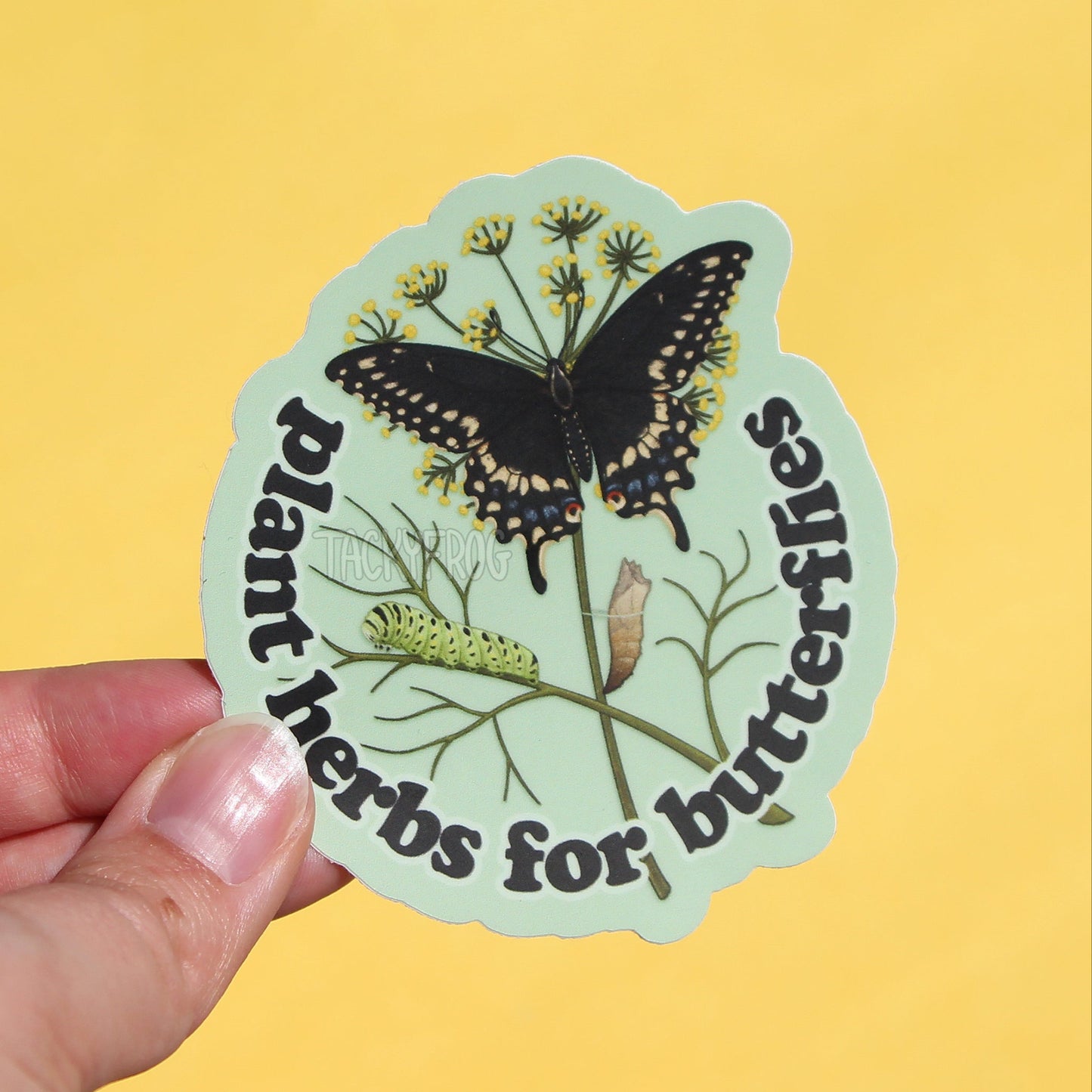 A sticker showing a black swallowtail butterfly, caterpillar, and chrysalis on a dill plan surrounded by text that reads "plant herbs for butterflies".