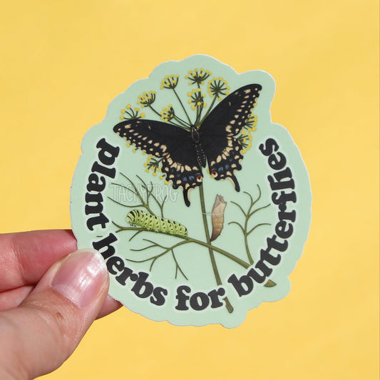 A sticker showing a black swallowtail butterfly, caterpillar, and chrysalis on a dill plan surrounded by text that reads "plant herbs for butterflies".
