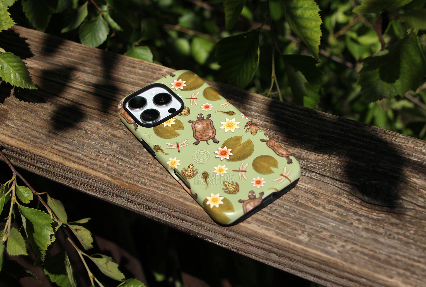 The pond life case placed on decaying wood and surrounded by birch trees.