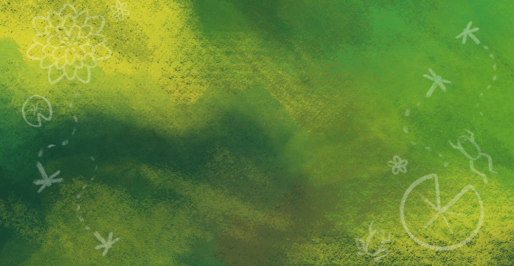 A green background image with subtle frogs and other doodles on it.