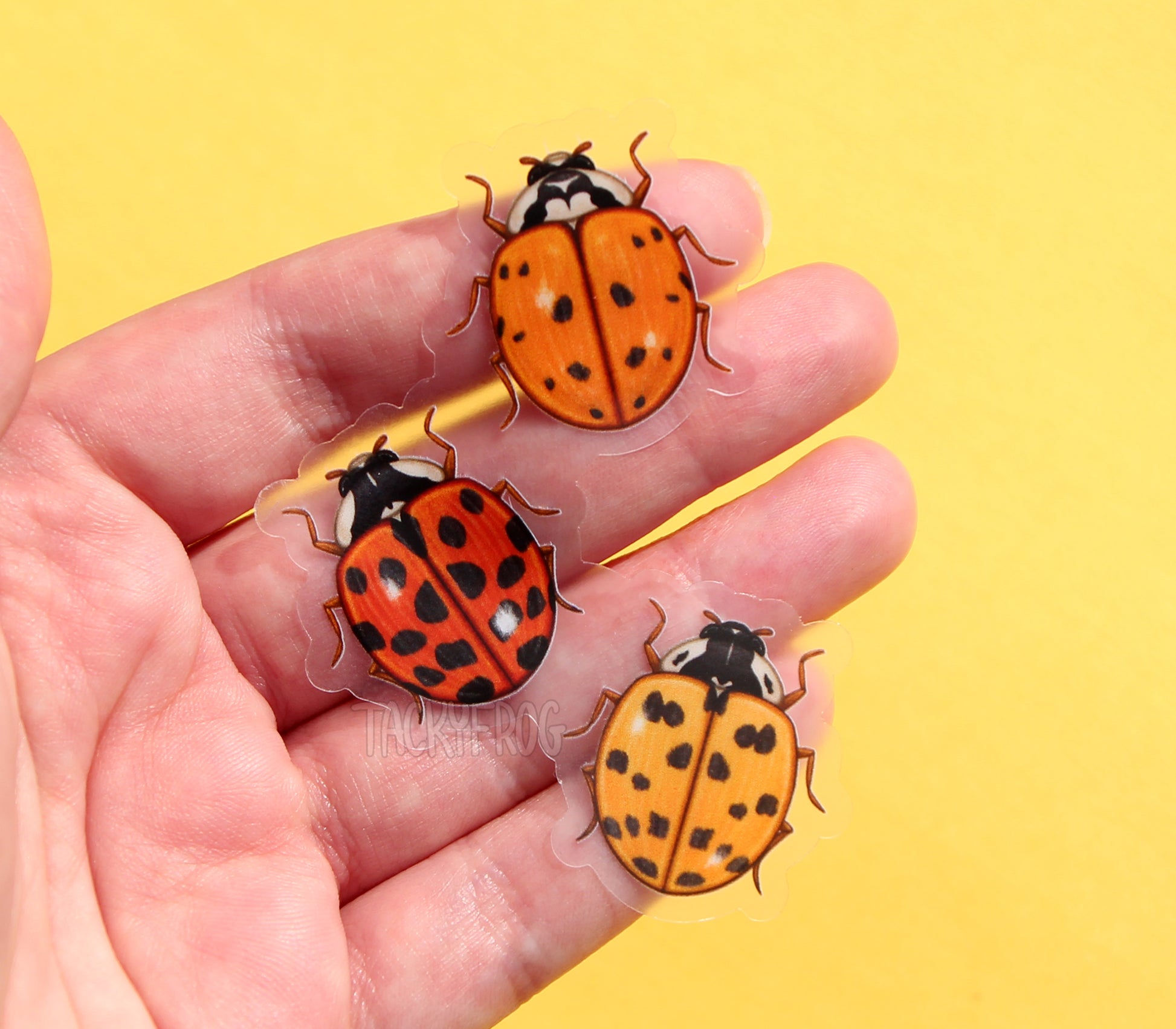 The clear vinyl sticker depicting three larger ladybugs placed on top of artist's fingers.