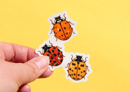 The clear vinyl sticker of three ladybugs with the white paper backing still on.