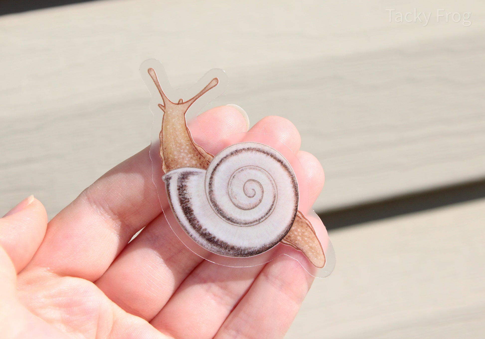 Another view of the white garden snail clear vinyl sticker.