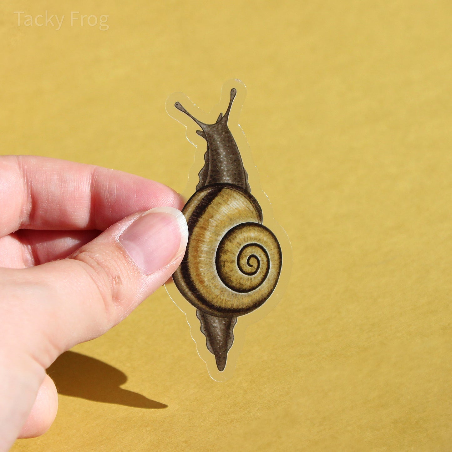 A clear vinyl sticker of a yellow grove snail.