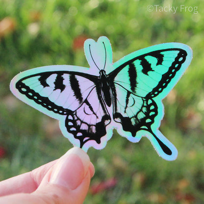 Another view of the swallowtail butterfly holographic sticker.