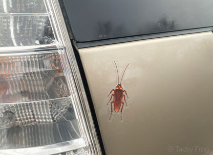 The clear vinyl cockroach sticker placed on a car.