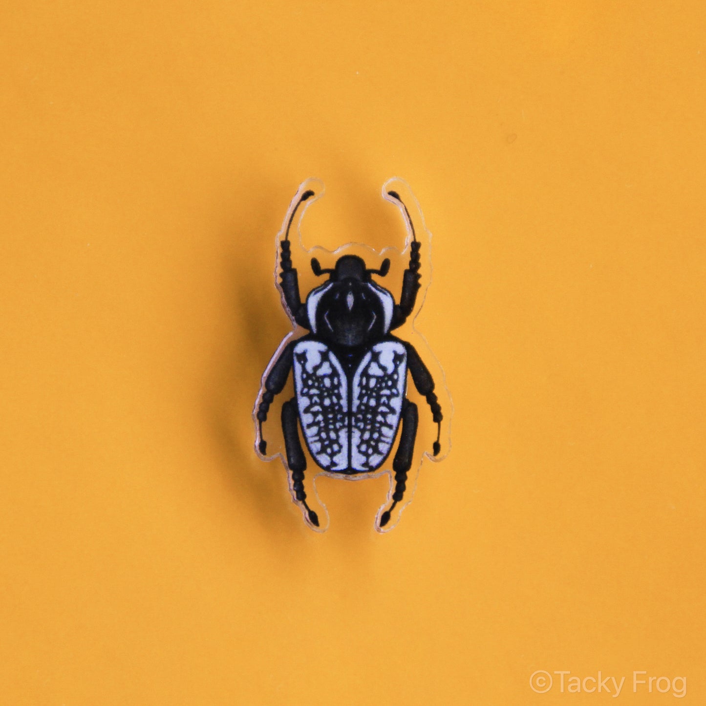 A small acrylic pin of a black-and-white female Goliath beetle.