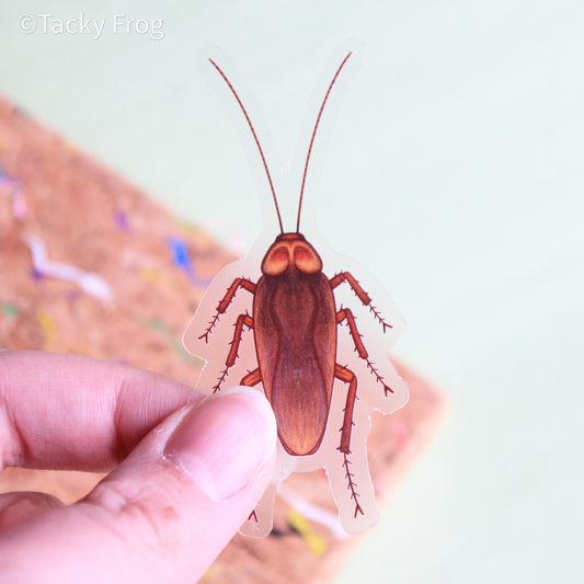 A clear vinyl sticker of an American cockroach.