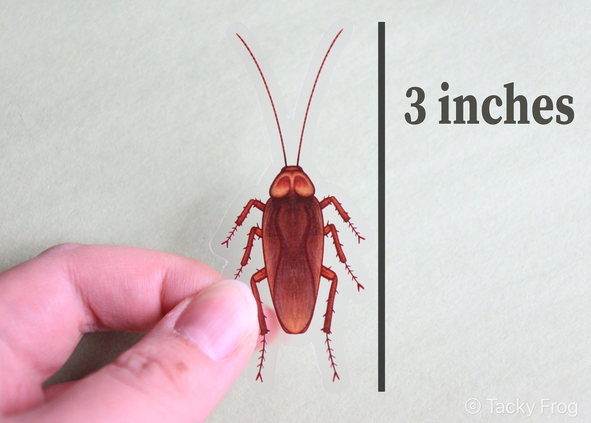 An image showing the size of the cockroach sticker, which is 3 inches long.