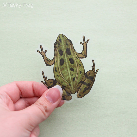 A leopard frog clear vinyl sticker.