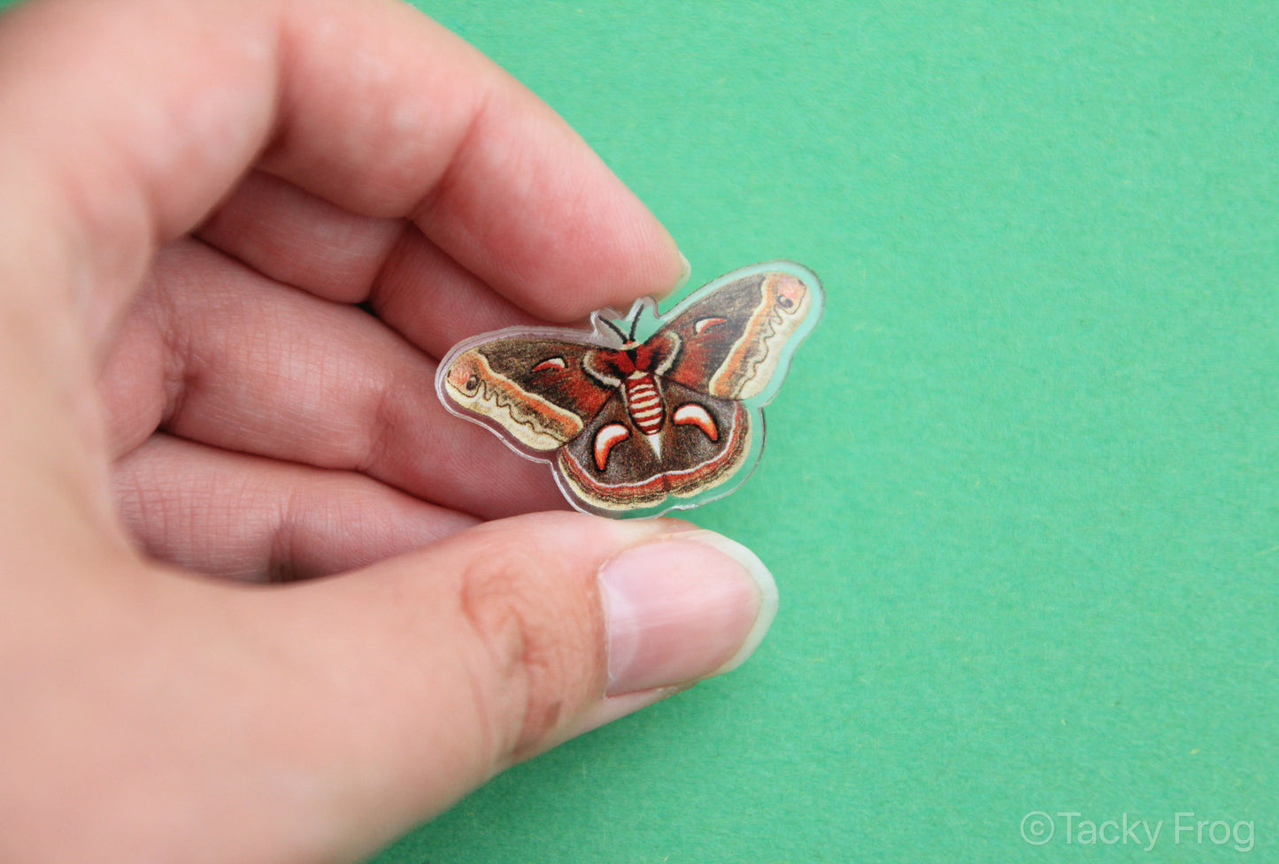 A hand holding the cecropia moth acrylic pin.