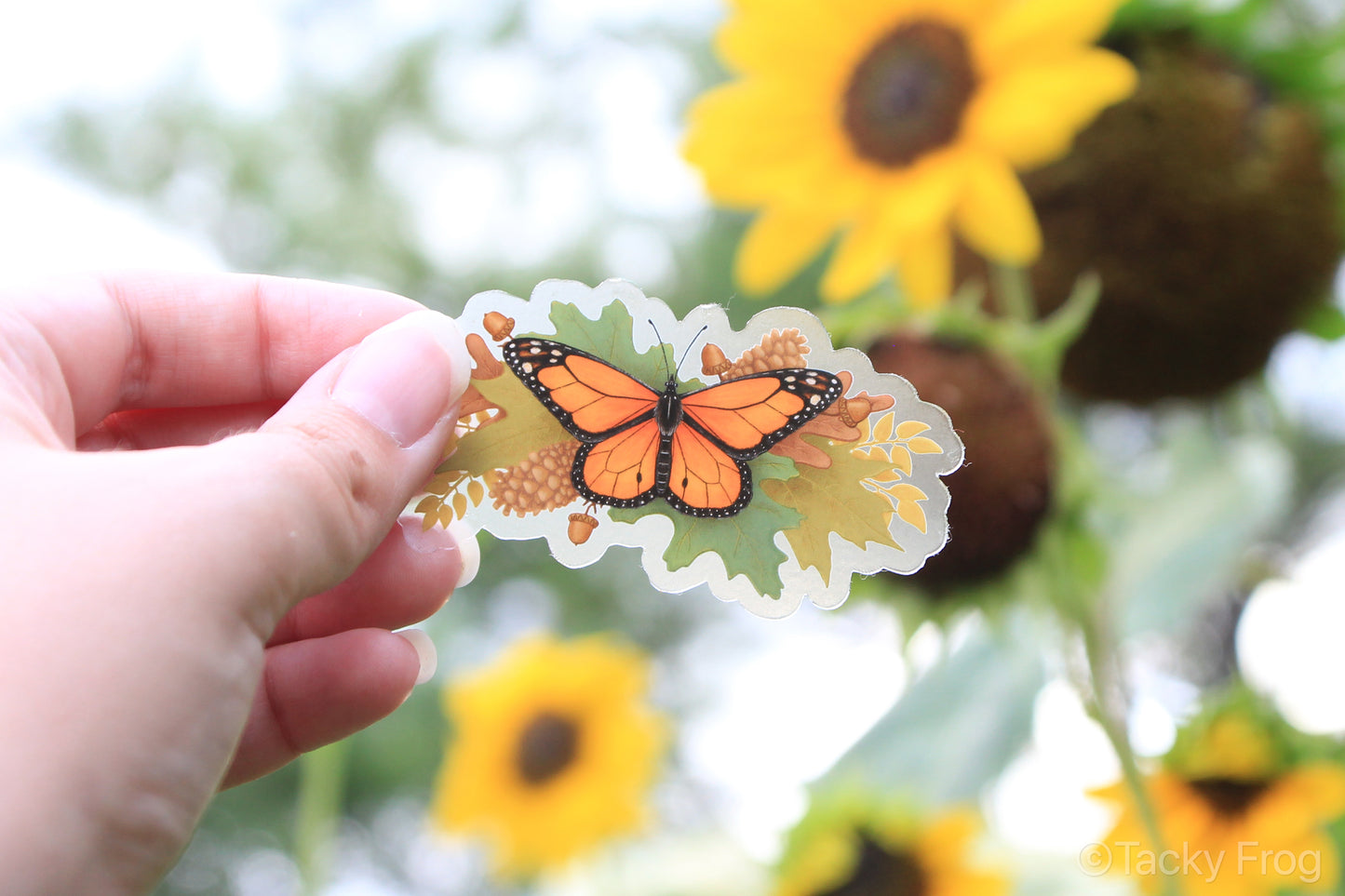 The autumn monarch clear vinyl sticker held in front of sunflowers.