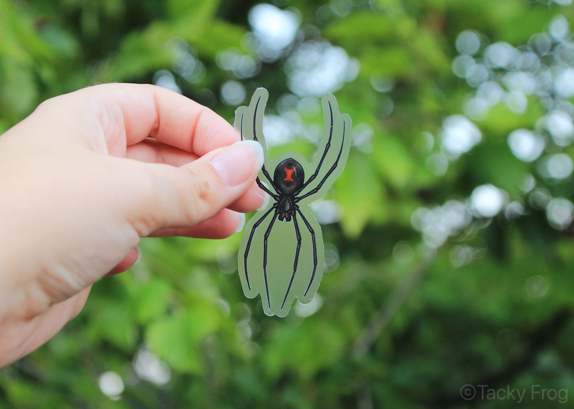 A clear vinyl sticker of a black widow spider held up in front of a tree.