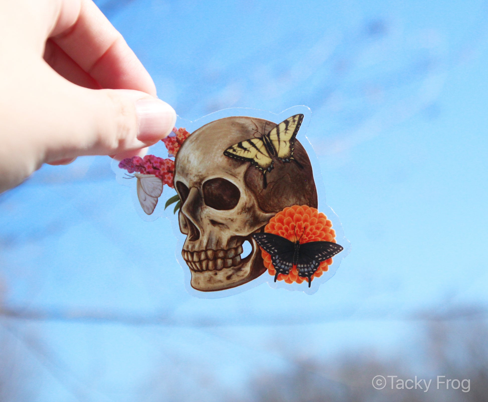 The skull and butterflies clear vinyl sticker held up in the air.