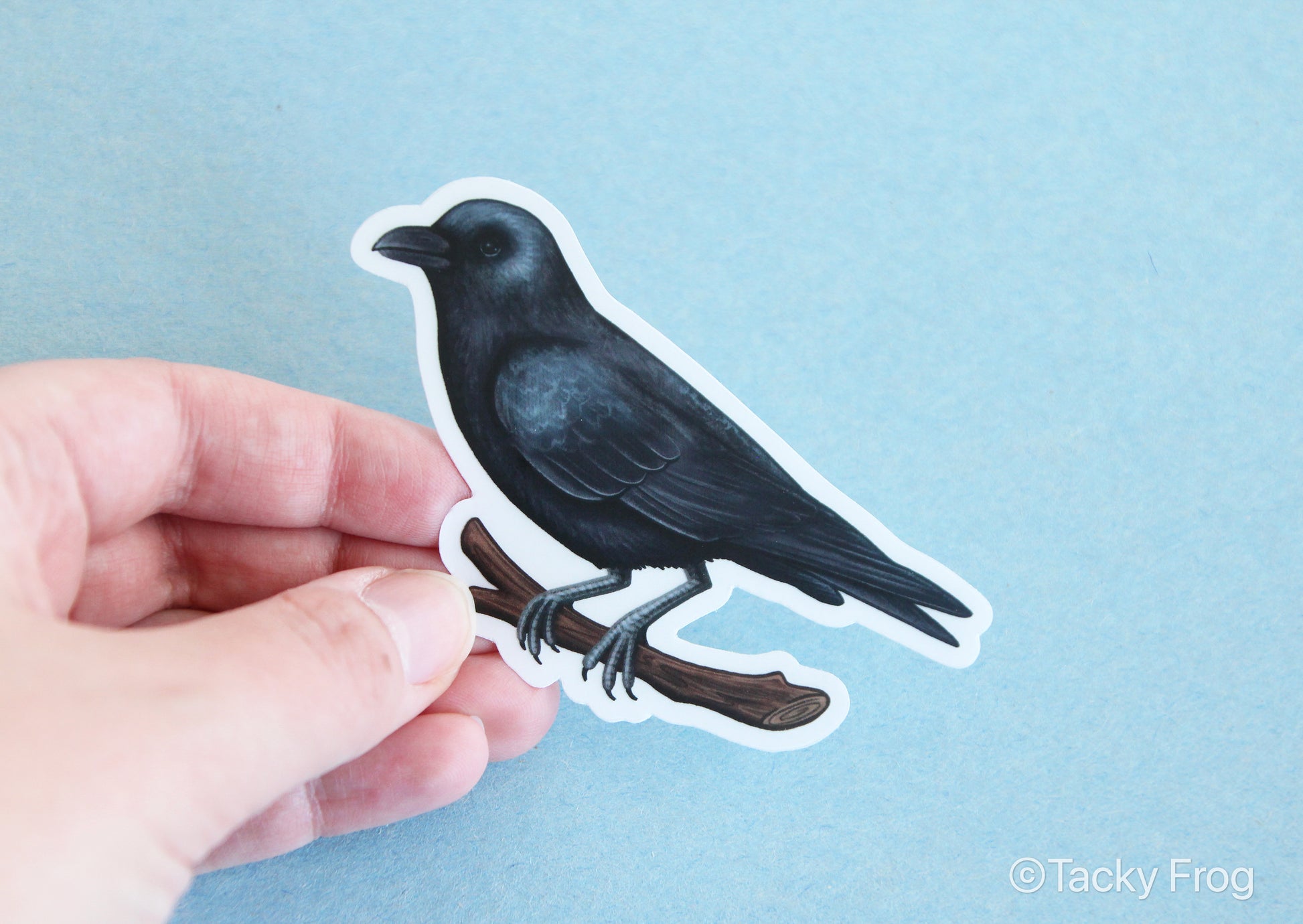 A clear vinyl sticker of a crow with the white paper backing still on.