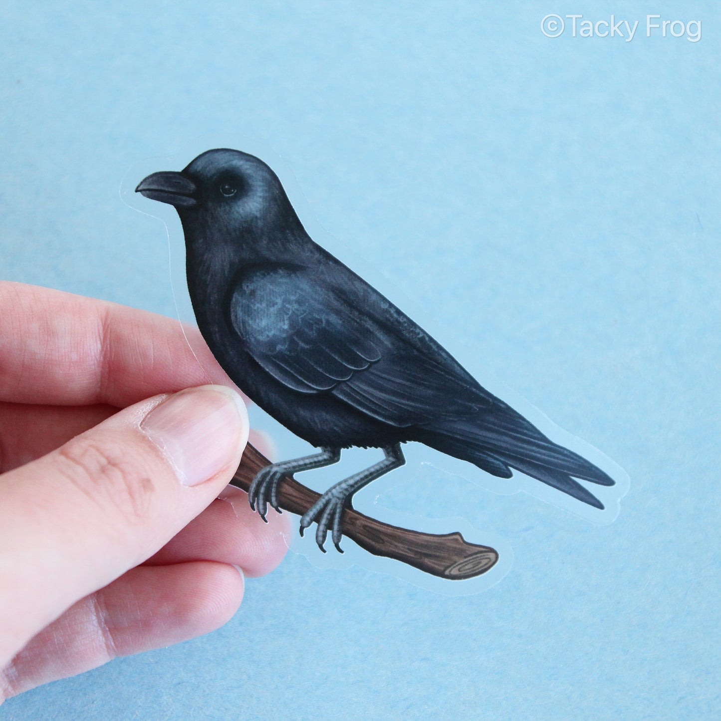 A clear vinyl sticker of a crow.