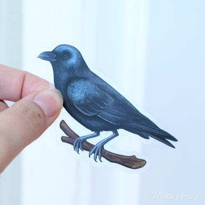 Another view of the clear vinyl sticker of a crow.