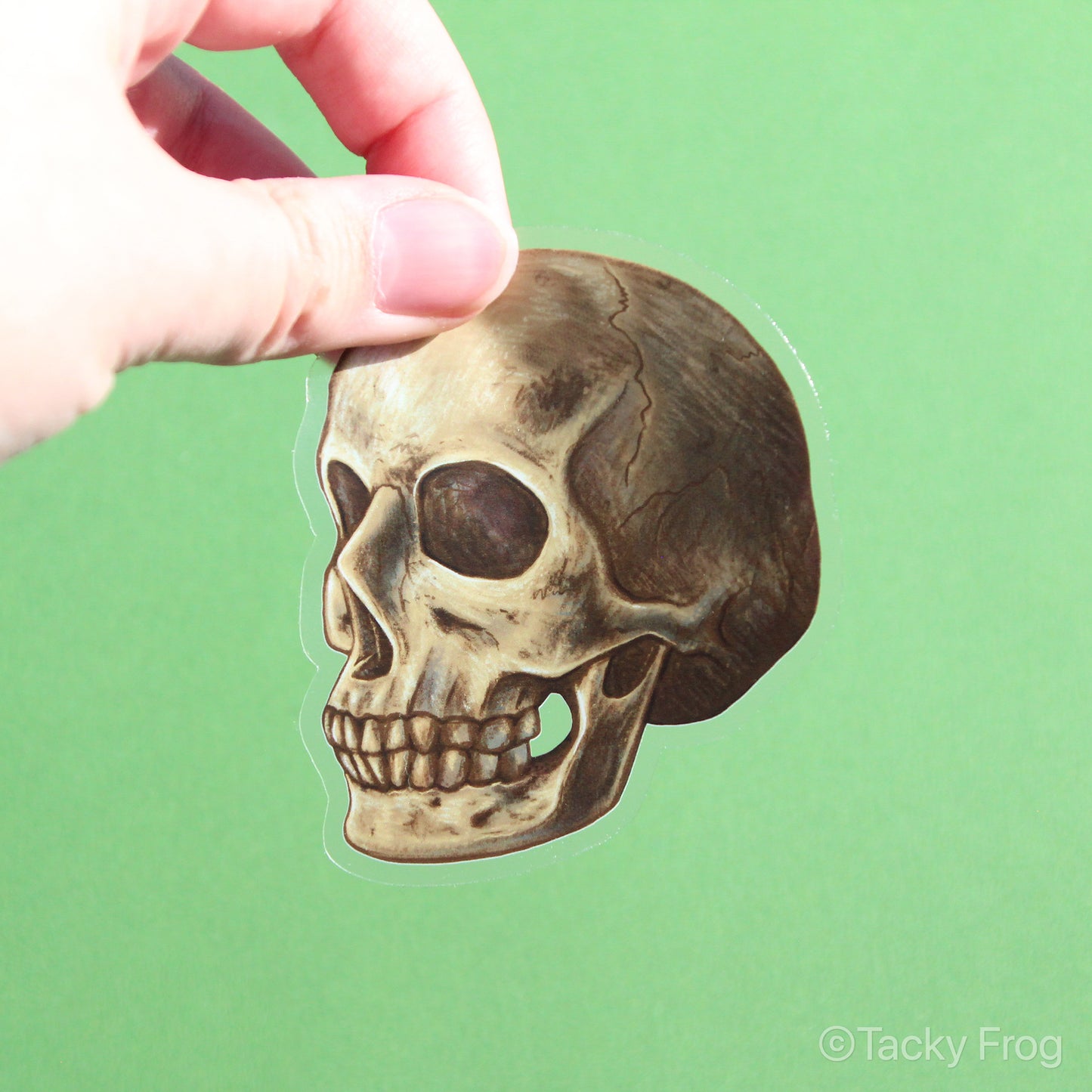 A clear vinyl sticker of a skull.