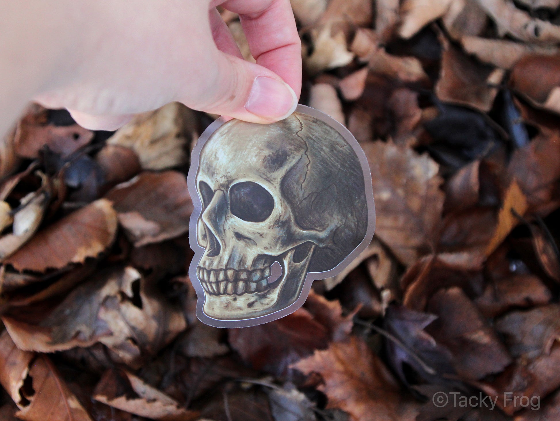 A clear vinyl sticker of a skull held over a pile of leaves.