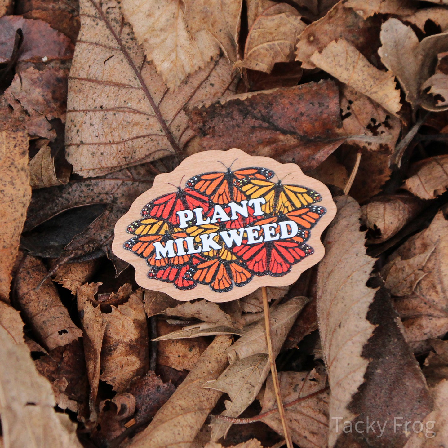 The plant milkweed pin placed in a pile of dead leaves.