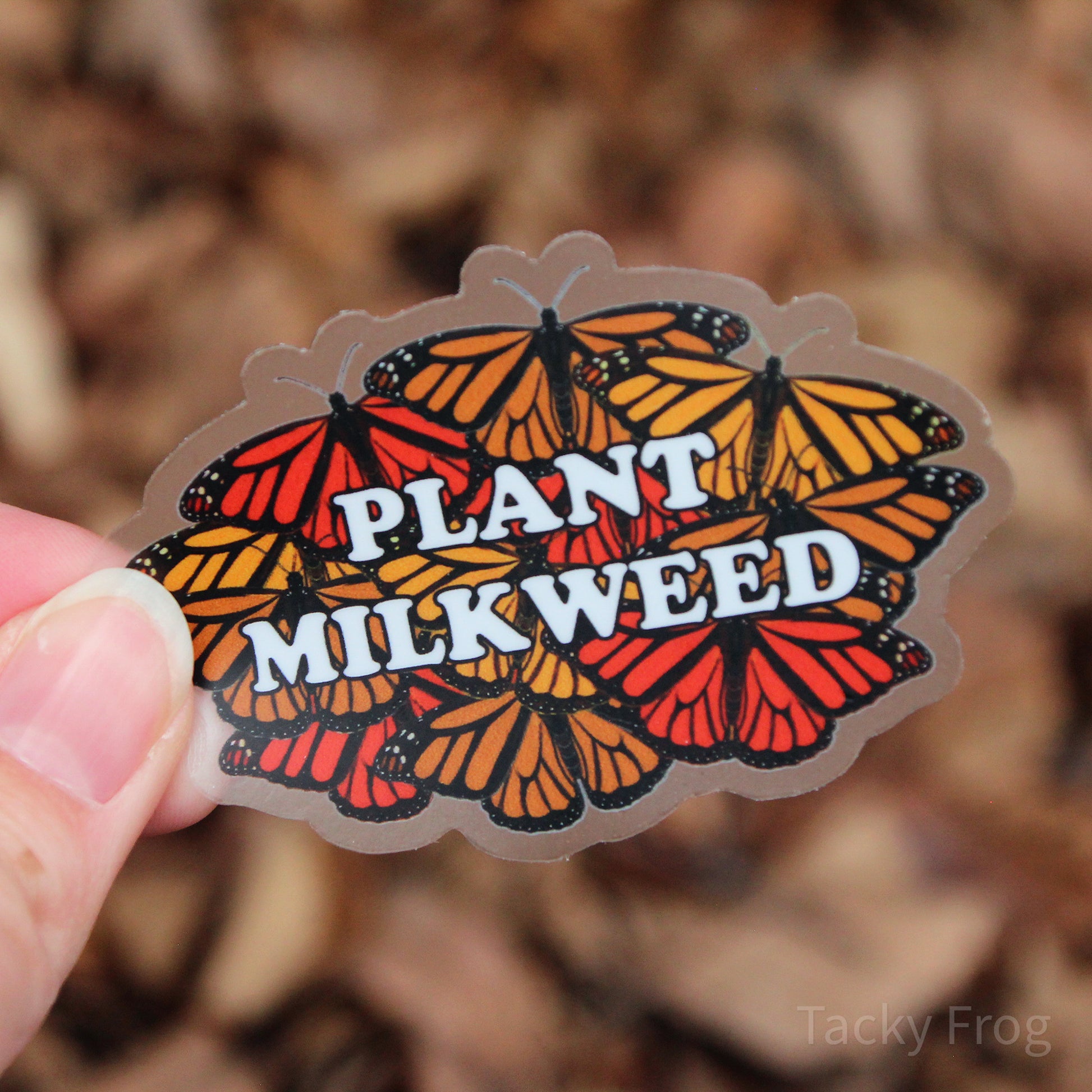 Another view of the plant milkweed clear vinyl stickers.