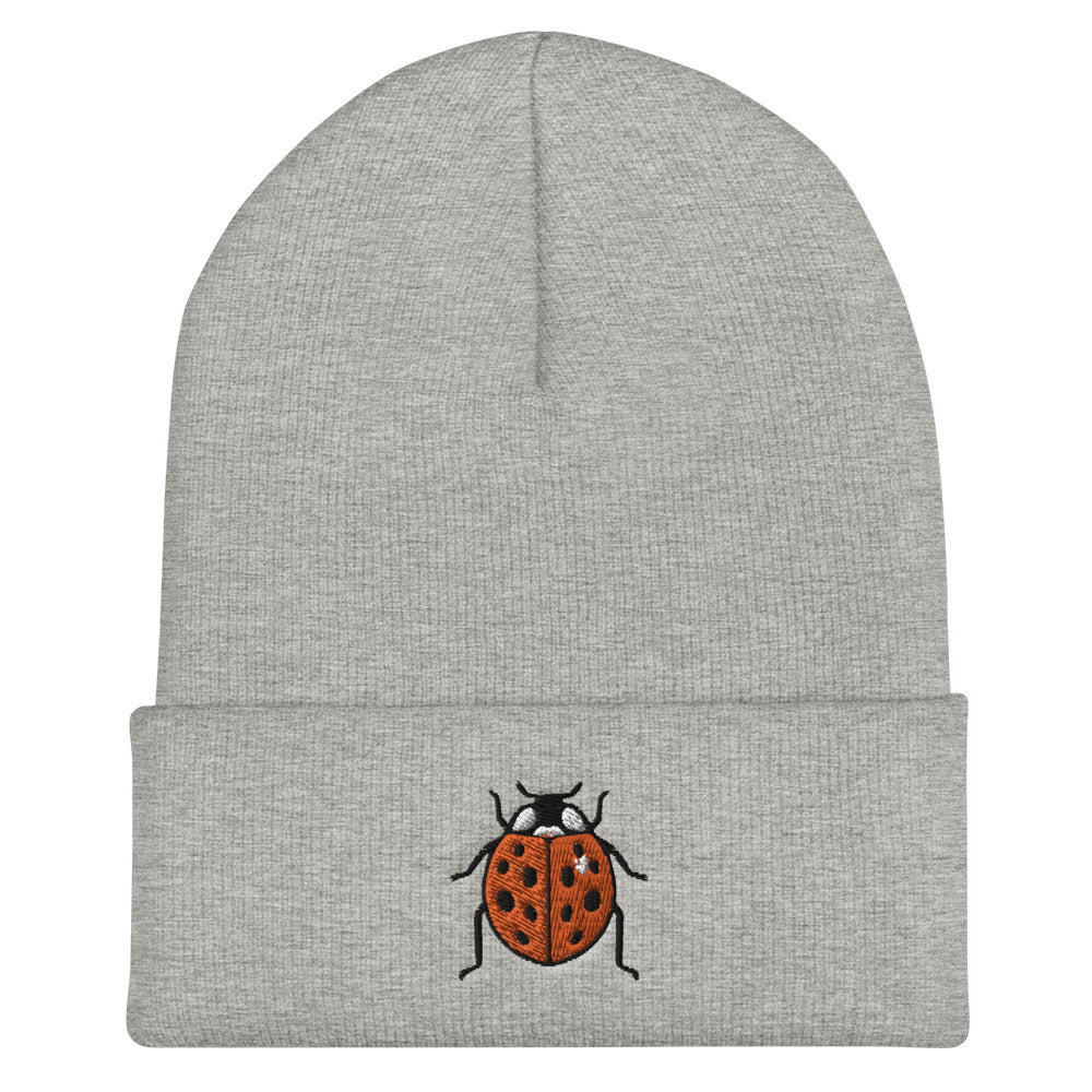 The heather grey ladybug beanie.